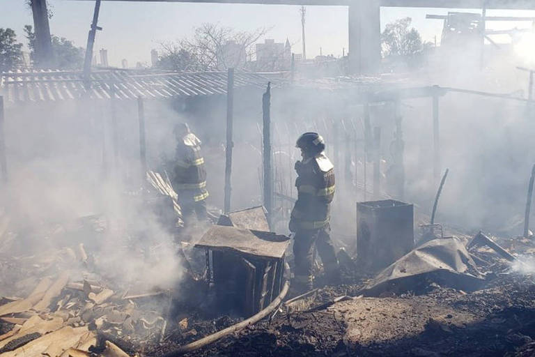 The causes of the fire and the death of the child will be investigated by the Civil Police.