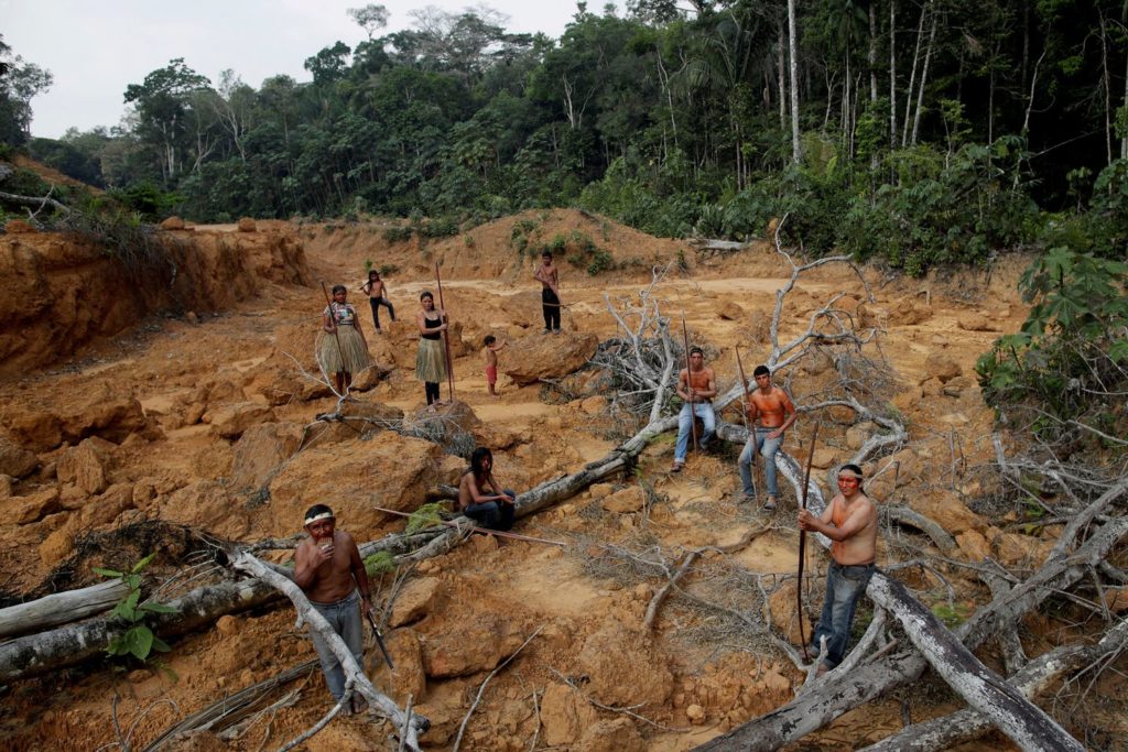 The transformation of millions of acres of wilderness into farmland also made it more likely that new diseases would spread to humans.