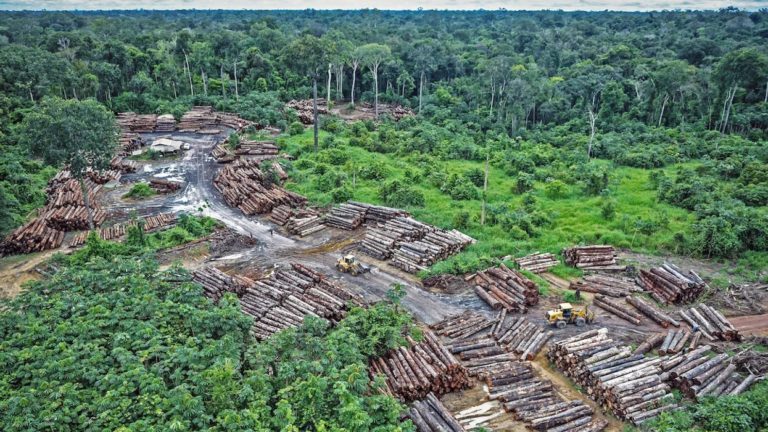 Brazil, Reversing Course, Says Will Keep Fighting Amazon Deforestation