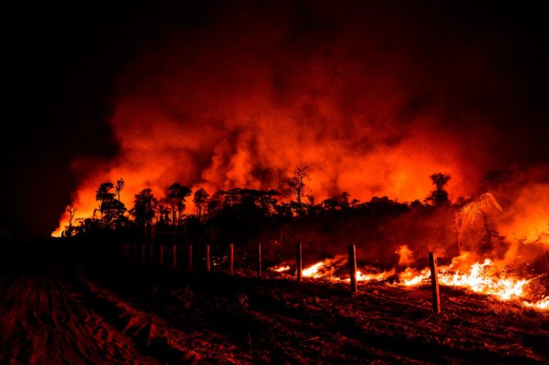 Brazil Amazon Fires: August Data Incomplete, Government Researcher Says