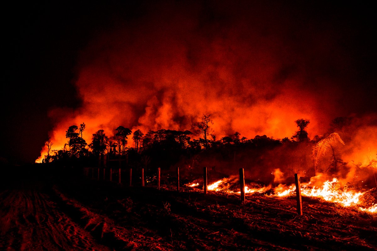 Fires