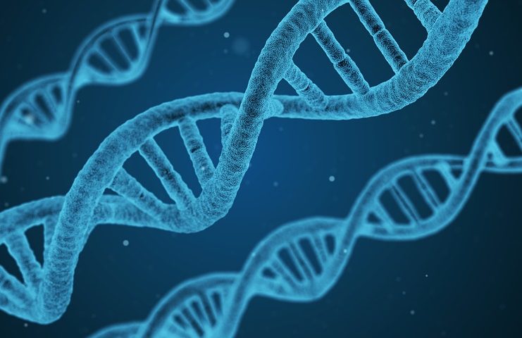 Genome2