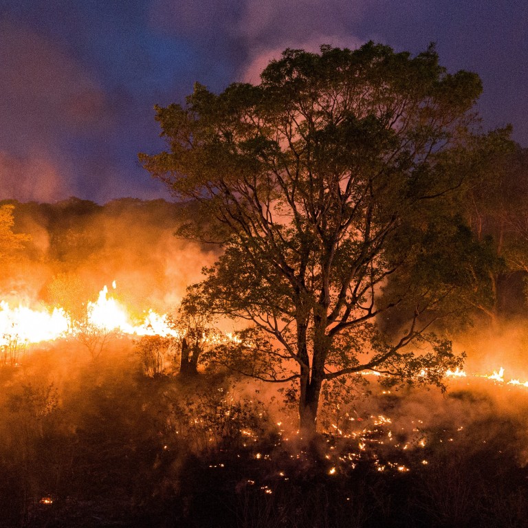 Scientists warn of bad year for fires in Brazil's Amazon and wetlands