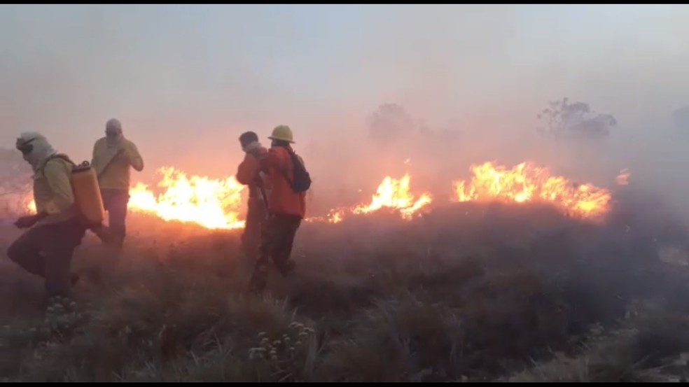 For three days, firefighters, soldiers, volunteers, and state park employees have been trying to control the situation and put out the flames that are spreading through the dry vegetation.