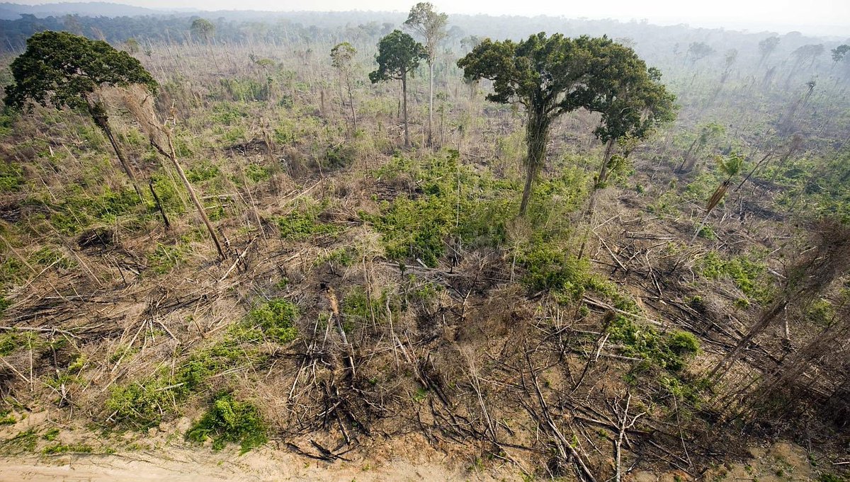 Deforestation did not subside in 2020, and in April fire and deforestation warnings in the Legal Amazon increased by 63.7 percent.