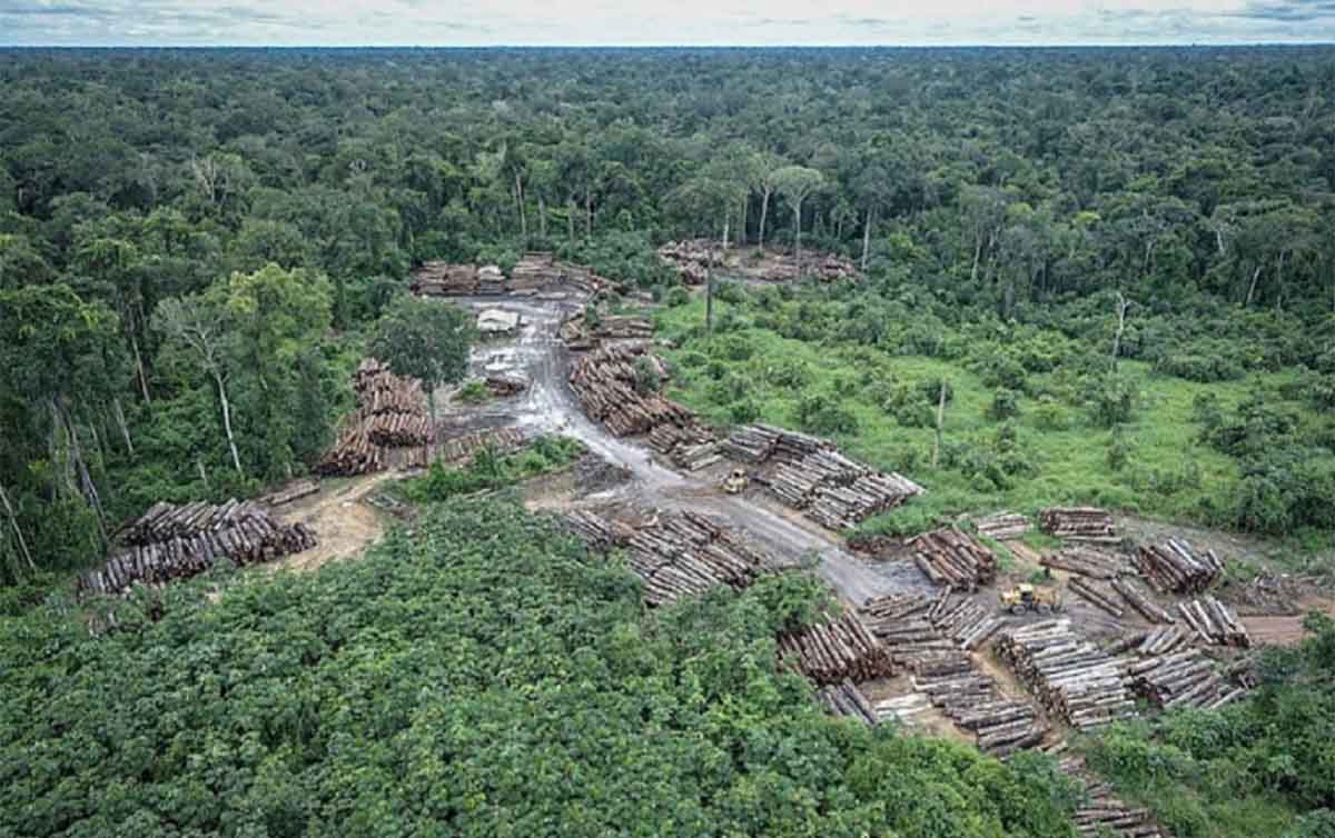 amazonia-degradacao