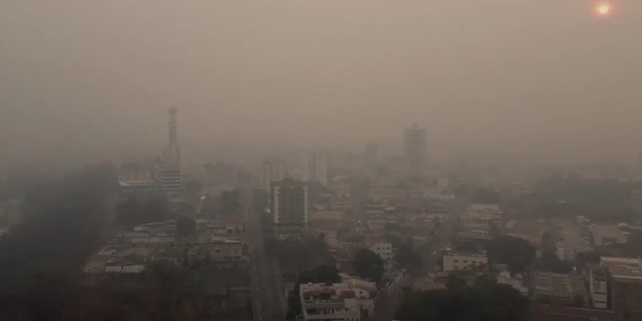 The biologist further said that the high level of pollution helps create a cycle that impacts the whole environment and encourages the development of new fires.