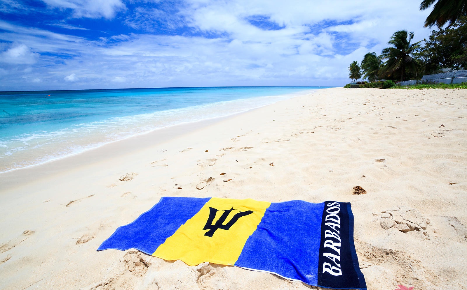 barbados-flag