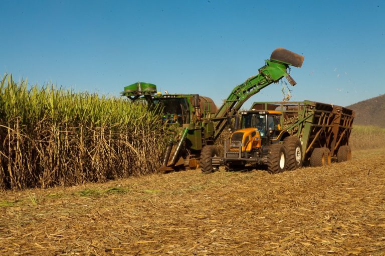 Dry Weather and Fires Threaten Brazil’s 2021 Sugarcane Crop