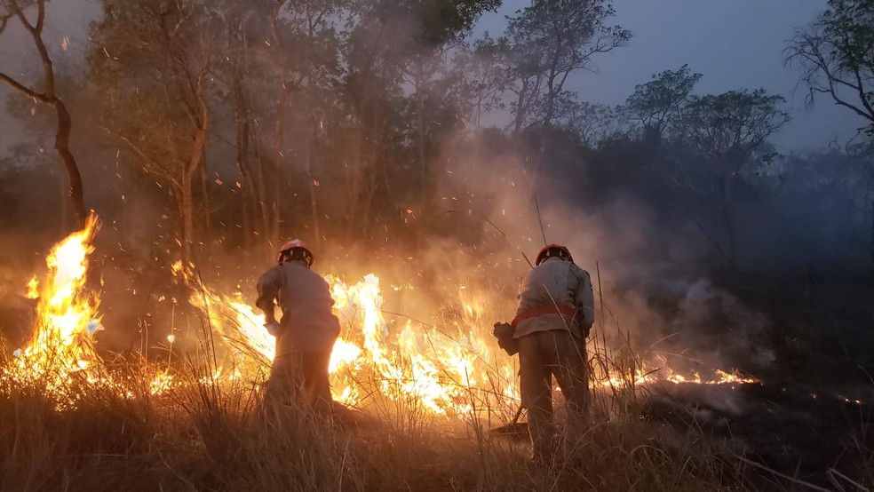 In July, the satellites detected 1,684 fires in the region, a number three times higher than in July 2019.