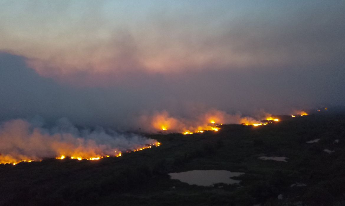 In the Pantanal alone, where teams have been fighting the flames for over a month, experts estimate that at least 12 percent of the ecosystem has already been destroyed.