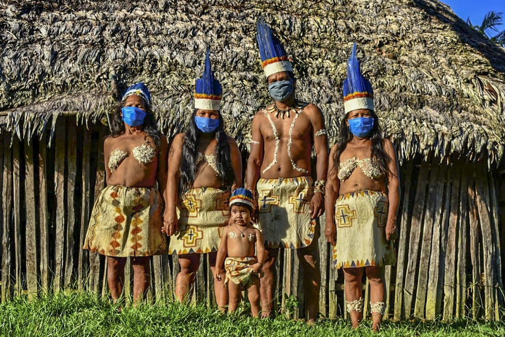The Brazilian Ministry of Health reported that 24,650 cases have been confirmed, 18,958 have recovered, and 401 have died in indigenous territories.