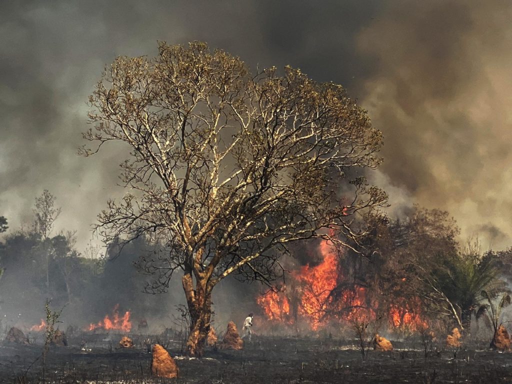 The investigation also detected accidental causes. In Fazenda Espírito Santo, an agricultural machine cleaning the area and gathering the harvested hay "caught fire and started the burning in the region".