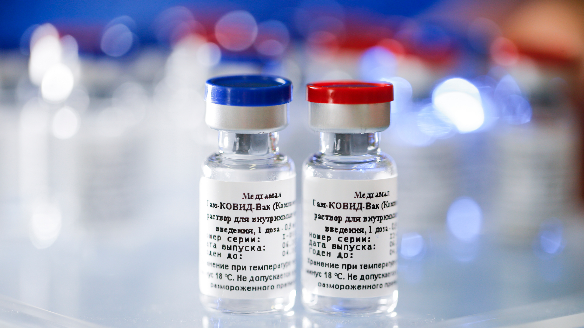 The first batch of the Russian vaccine, Sputnik V, will be made available to the population, assured the Russian Ministry of Health, according to TASS news agency. The vaccine has passed quality control tests and will soon be distributed throughout the country.