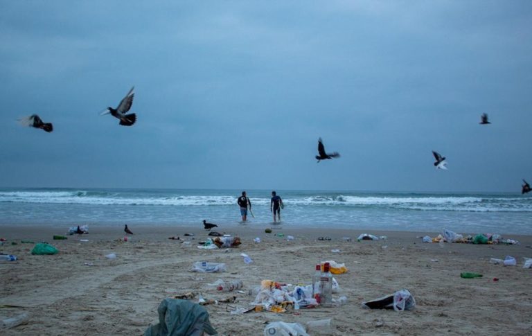 After Holiday, Volunteers Remove 360 Kg of Garbage From Praia Grande in Ubatuba