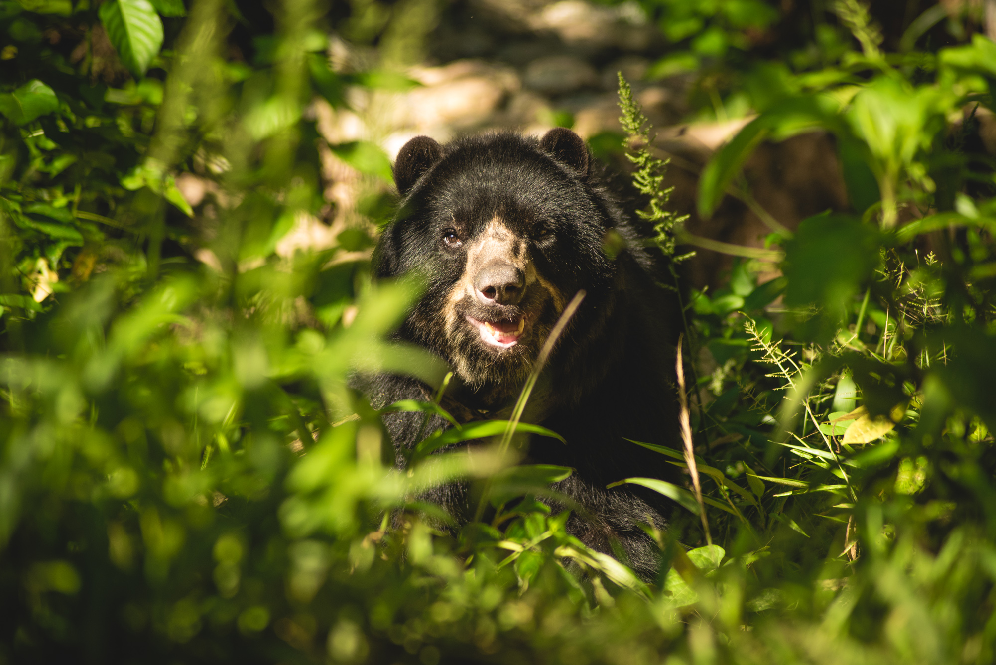 Photos By Milan Sime Martinic