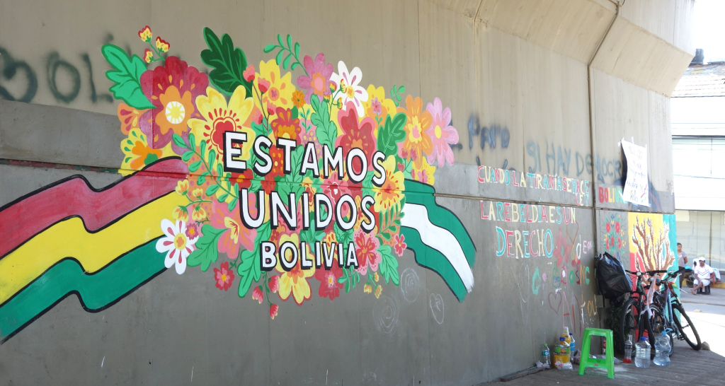 As Bolivia readies to vote in a defining election, a number of key issues are on the table, including the country’s huge lithium deposits, the role of unseated ex-leader Evo Morales, and policy on farming coca, the raw ingredient of cocaine.