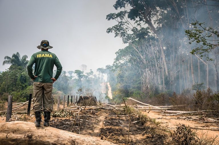 No New Environmental Fine Has Been Collected in Brazil in Over One Year