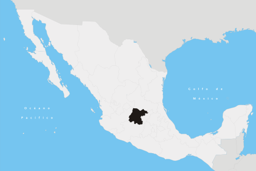 59 Bodies Found in Clandestine Graves in Mexico’s Guanajuato State