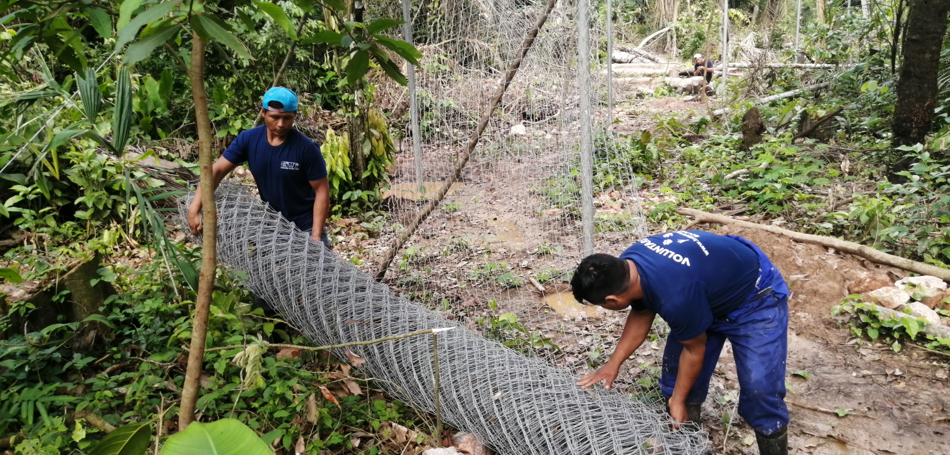 Volonteers help the animals. (Photos By Milan Sime Martinic)