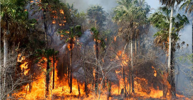 Fires in Brazil’s Amazon rainforest surged in October and the number of blazes is up 25 percent in the first 10 months of 2020, compared to a year ago, data from government space research agency Inpe showed on Sunday, November 1st.