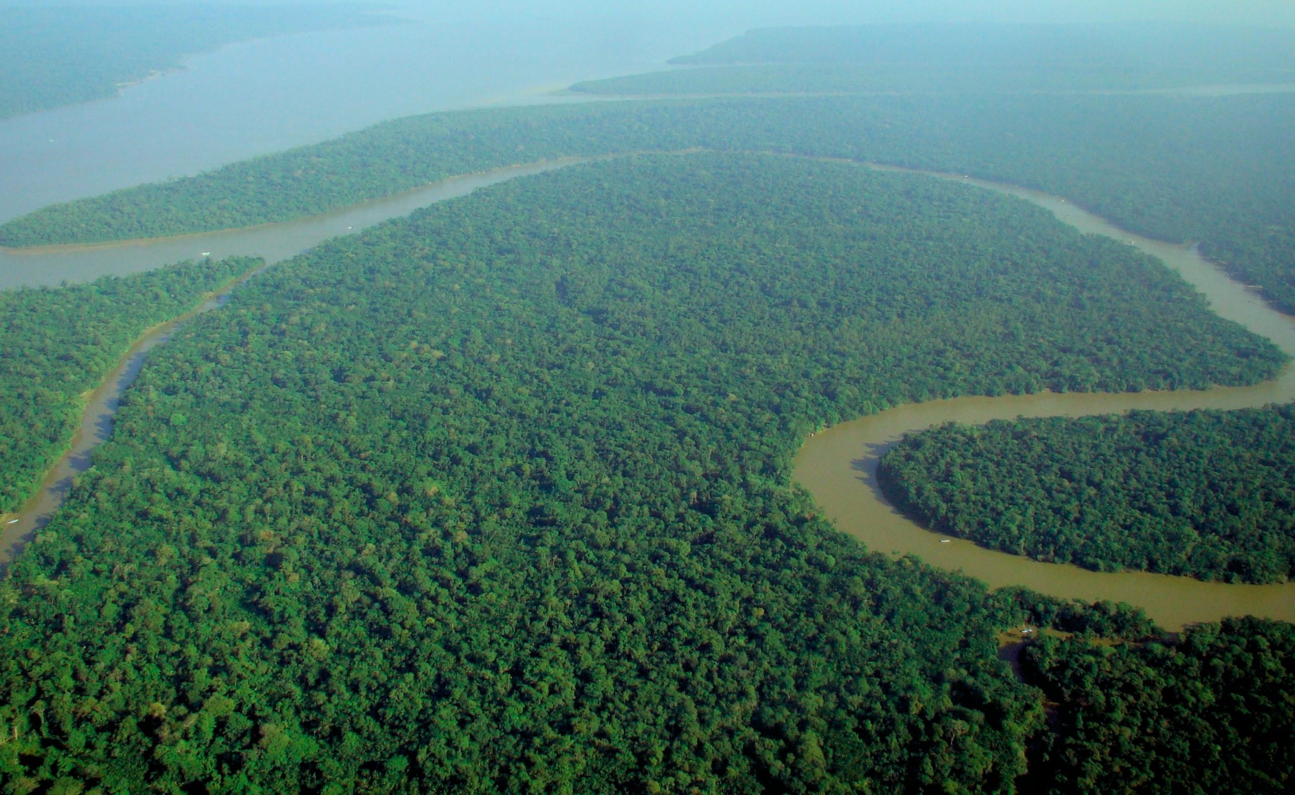 With the food industry under growing scrutiny for its role in driving deforestation in countries such as Brazil and Indonesia, Britain is drawing up legislation to force the sector to tighten oversight of its supply chains.