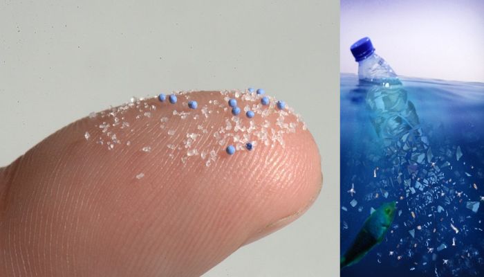 According to a new study, there are millions of tons of microplastics in the Atlantic.