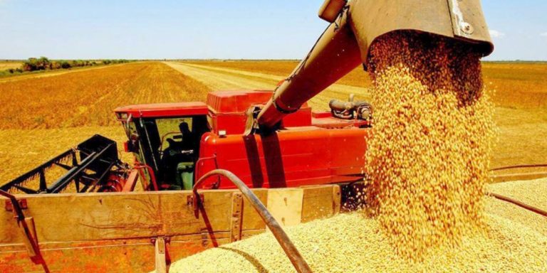 Brazilian soybean exports in June slow down pace and are below 2020 – Secex