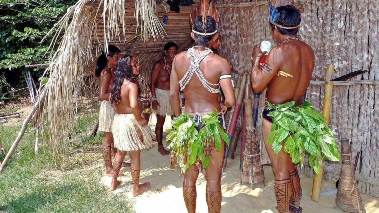 CIMI: Brazilian Indigenous Land Invasions Rose 135 Percent in 2019