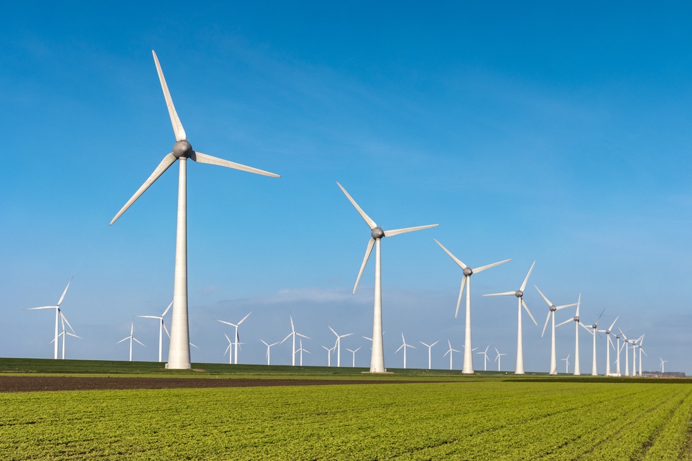 The new investments made room for a variety of alternatives, such as solar and biomass energy, but it was wind power that surprised most, either because of its high efficiency or because it also proved to be an economically accessible option.