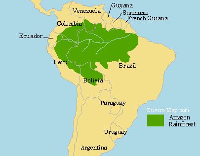 Biden’s election as the next U.S. leader, replacing climate-change sceptic Donald Trump, has raised expectations that conserving the Amazon forest, seen as a vital buffer against global warming, will get greater attention and priority in Washington.
