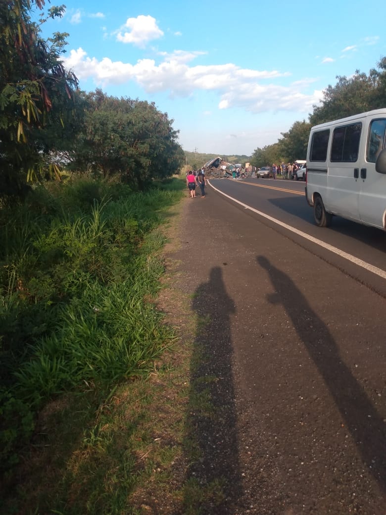 The truck driver reportedly survived the crash.