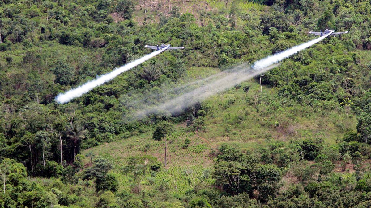 Colombia Aerial Afumigation