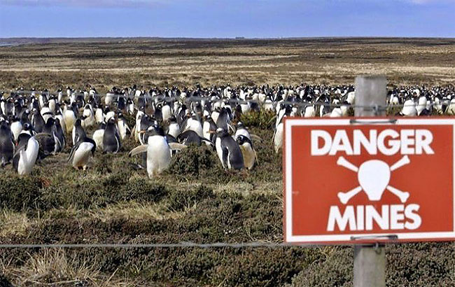 The final landmines on the Falkland Islands in the South Atlantic have been cleared, Britain said on Tuesday, nearly 40 years after they were laid by Argentine forces when they seized the British territory.
