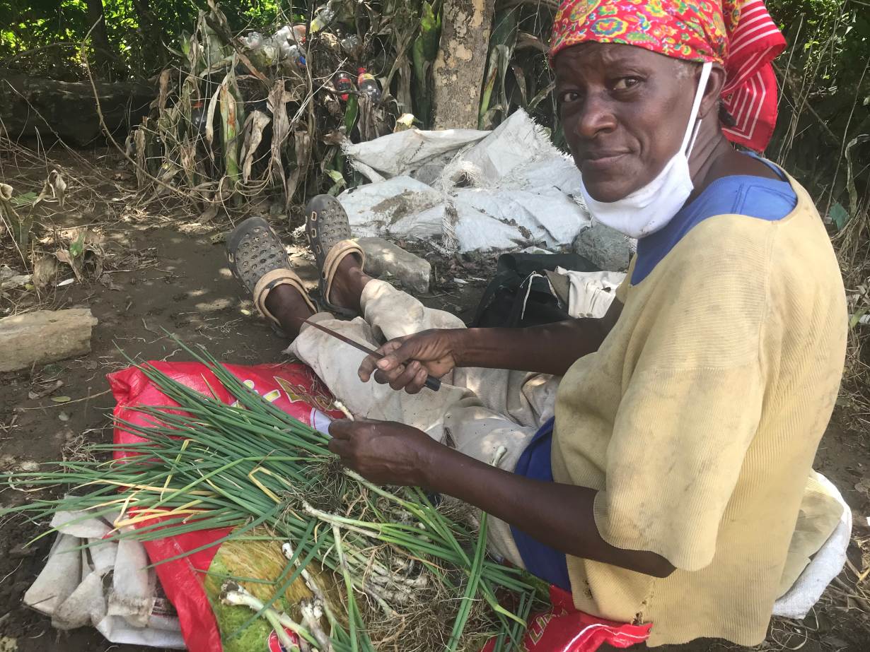 Early each morning, Pamelita Dann arrives at her farm in eastern Jamaica hoping thieves have not stolen any of her crops. She carefully checks the onions, watermelon and papayas - more often than not, something has been snatched overnight.