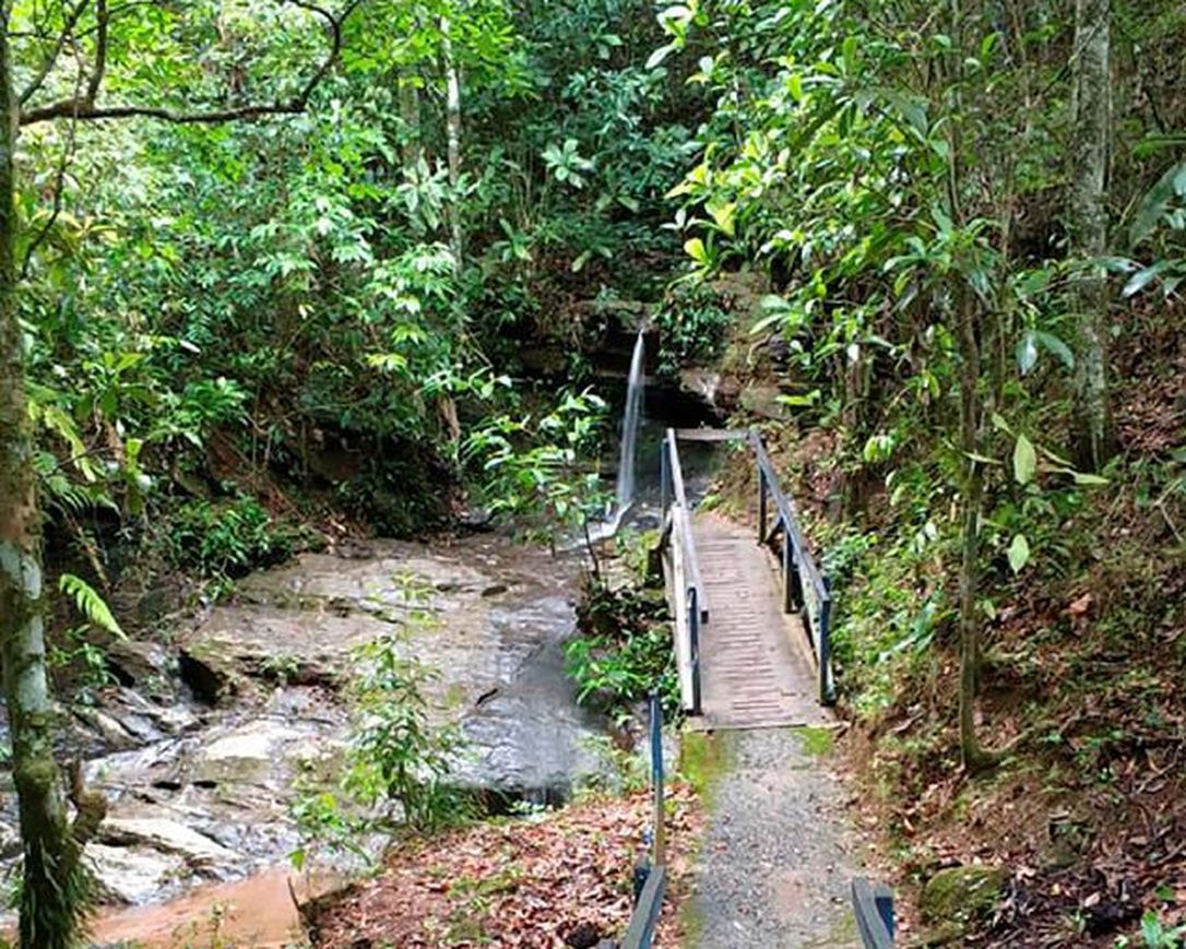 The Japanese woman whose body was found next to a waterfall in Brazil’s Goiás state died as a result of a blow to the head, probably from a blunt rock, according to the detective leading the investigation.