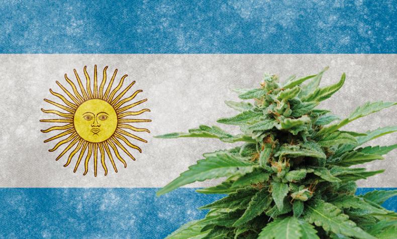 . Argentineans will be allowed to cultivate the plant individually or in groups, according to a publication in the country's Official Gazette. The recreational use of the drug is still banned in the country.