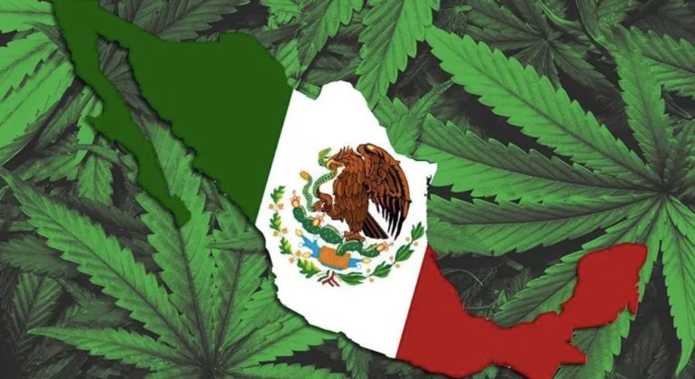 Mexico, World Largest Marijuana Market, Moves One Step Closer to Legalizing Use