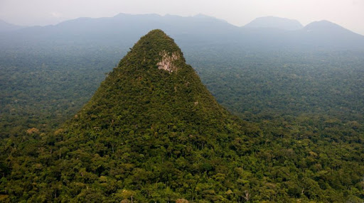 As the world turns its attention to the protection of the Amazon, the Jair Bolsonaro government decided to implement a project to open a new road in the heart of the forest. (Photo internet reproduction)