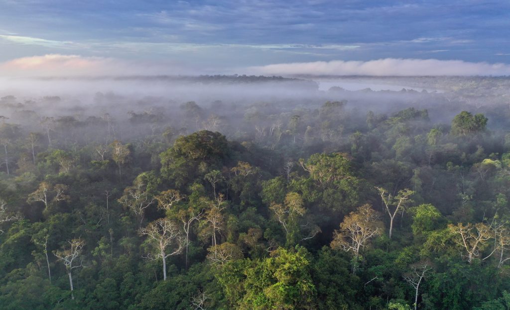 Across five Amazon nations - Bolivia, Brazil, Colombia, Peru, and Ecuador - investments totaling US$27 billion (R$135 billion) over the next five years would construct or update more than 12,000 km (7,456 miles) of roads.