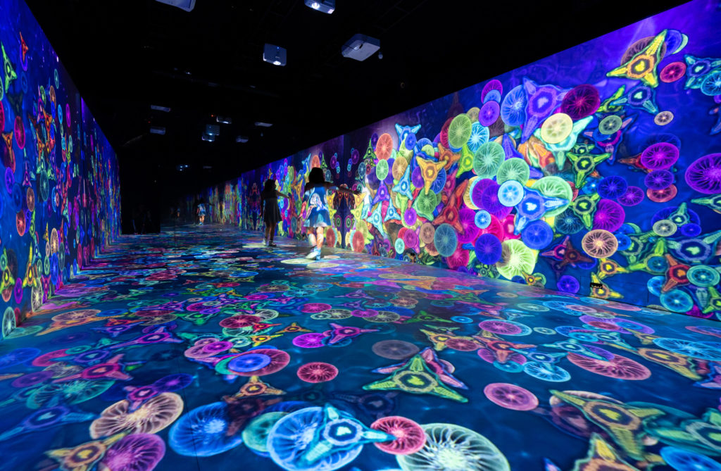 IM.FUSION is a technological installation that offers a recreational experience, capable of stimulating reflections on how we interact with the micro and macro in different contexts and environments.