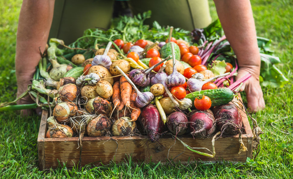 Brazil exports US$6.5 billion in agricultural products in February
