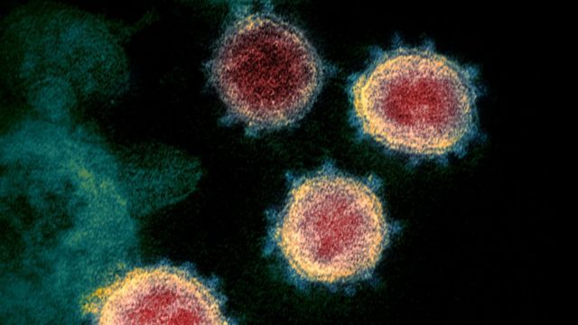 South Africa Says Its Coronavirus Variant No More Dangerous Than UK Strain