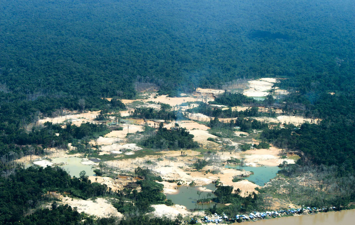 Amayon Illegal Mining
