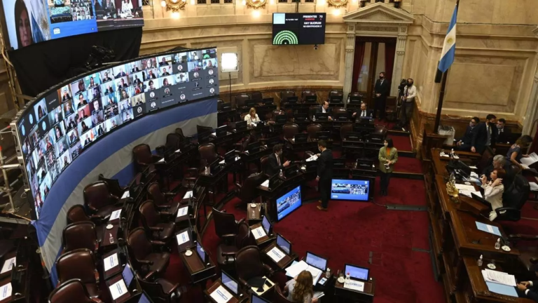 “Millionaires’ Tax” for Virus Relief Passes Argentine Senate