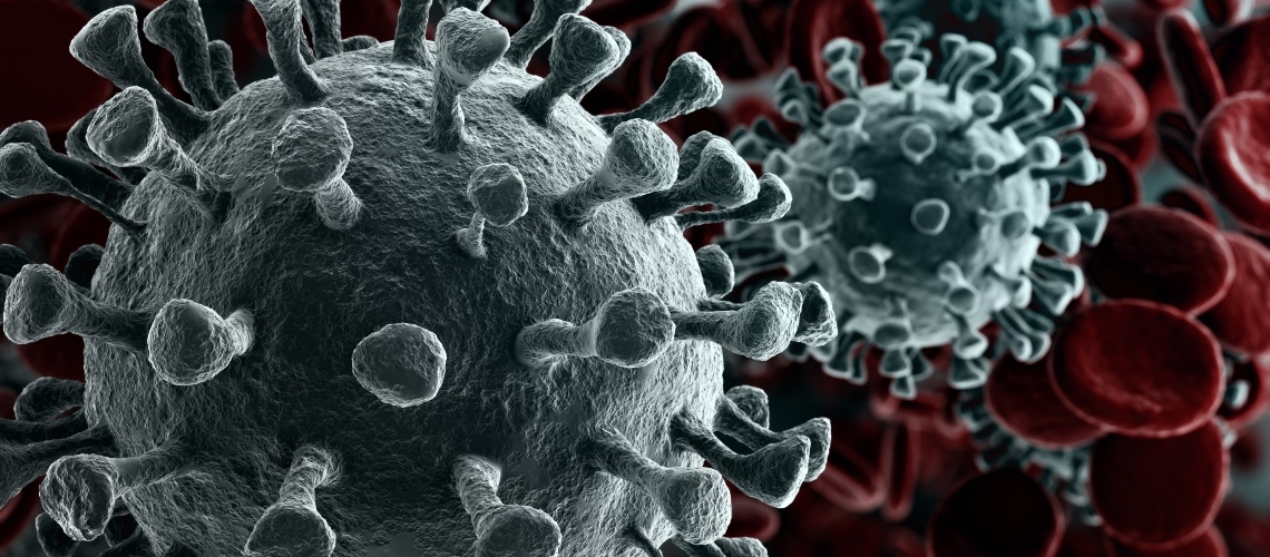 A group of researchers identified a new strain of the SARS-CoV-2 coronavirus, which causes Covid-19, in the state of Rio de Janeiro, one of the most affected regions by the pandemic in Brazil, scientific sources reported on Tuesday, December 22th.
