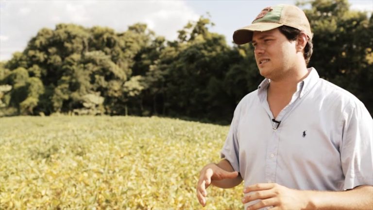Small Brazilian farmers regard investment as the main credit demand – CNA survey