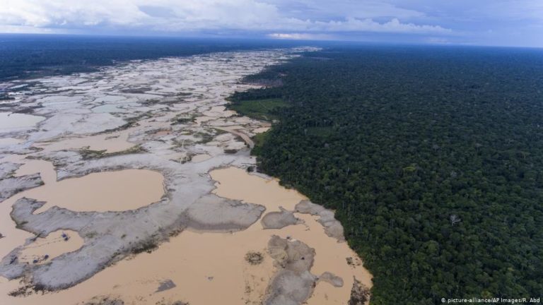 Mine Ponds Cause Toxic Mercury Pollution in Peruvian Amazon