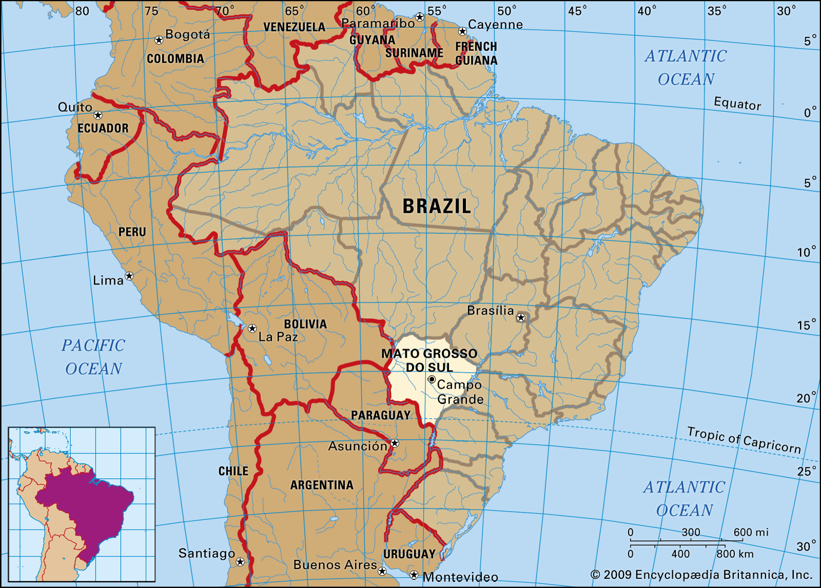 Brazil's southern state Mato Grosso do Sul, which borders Paraguay and Bolivia, on Friday declared a curfew to help curb an increase in cases of COVID-19.
