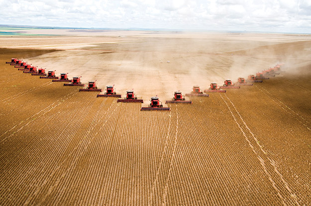 Brazil's agribusiness exports, one of the mainstays of the economy, grew 4.1 percent in 2020 compared to the year before, topping 100 billion U.S. dollars for the second time on record, the Ministry of Agriculture, Livestock and Supply said on Tuesday, January 12th.